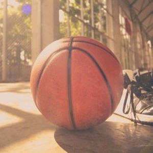 篮球技术与训练精要在线阅读